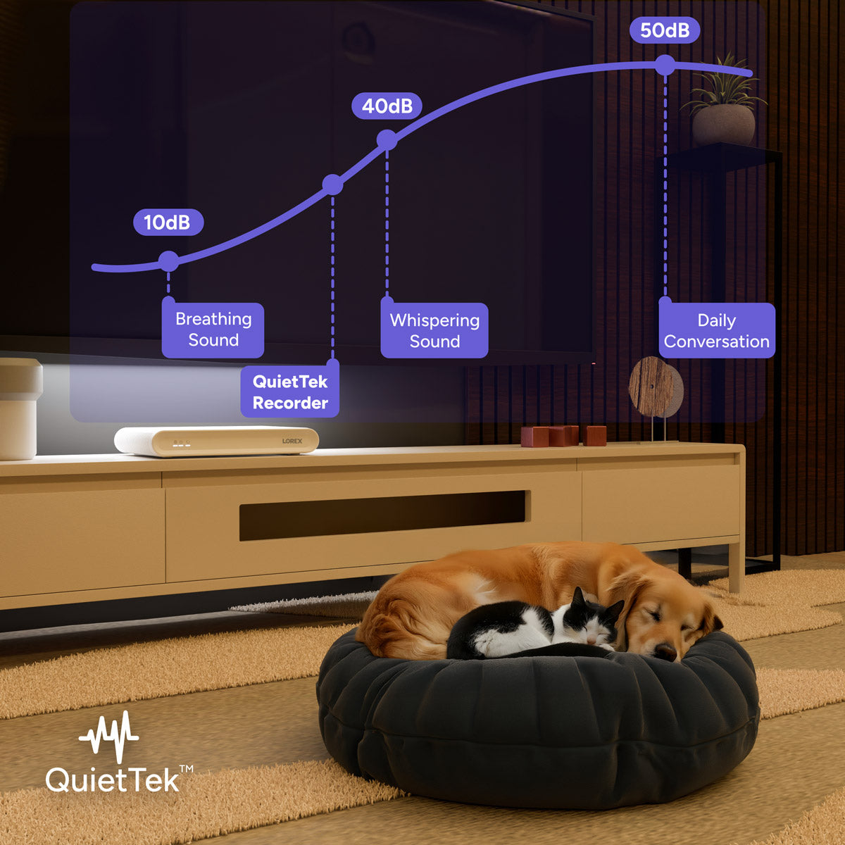Two dogs and a cat on a pet bed with a graph showing sound levels, in front of a television displaying 'QuietTek' branding.