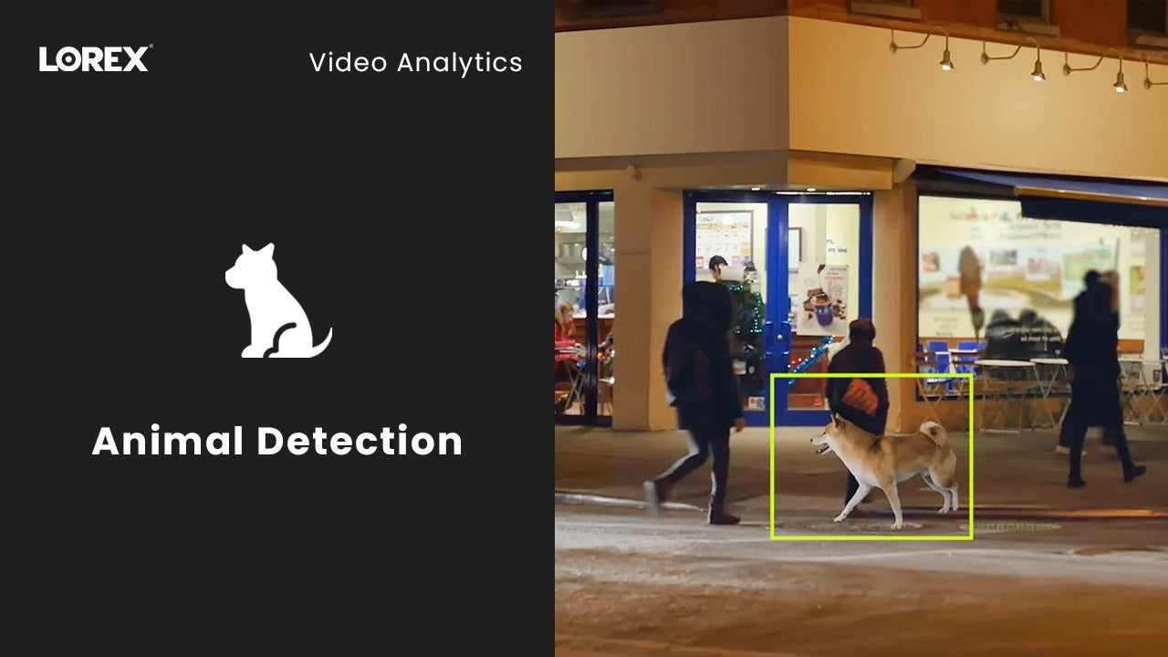 Animal Detection Algorithm AI Video Analytics: Animal Detection Security Cameras | Lorex PRO