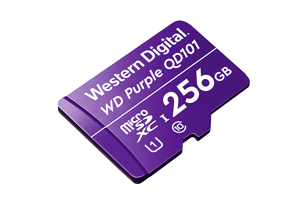 256GB microSD Card (Surveillance Grade)