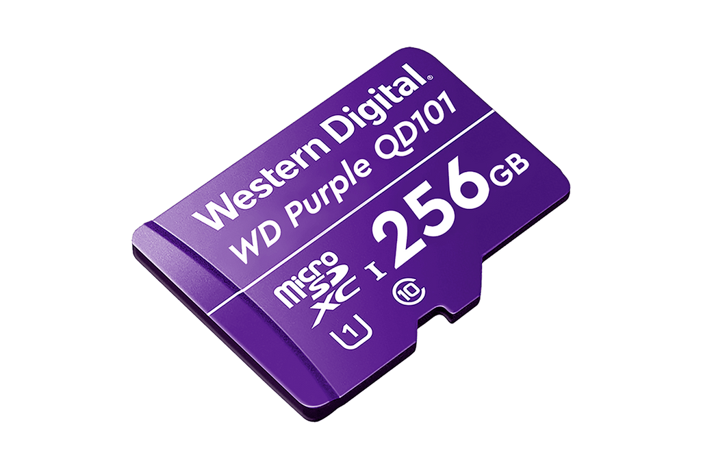 256GB microSD Card (Surveillance Grade)