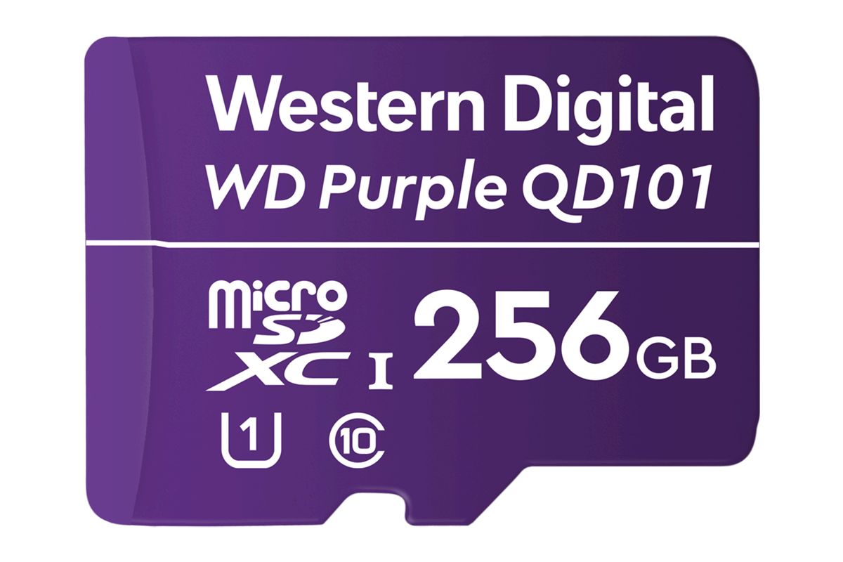 256GB microSD Card (Surveillance Grade)